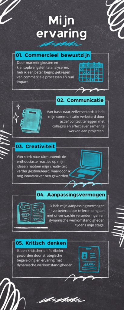 Infographic - Mijn ervaring - Stefan Hollebrands